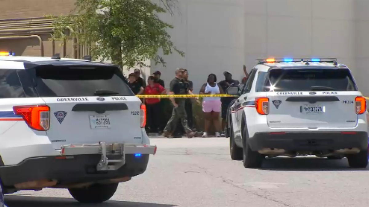 Shoppers were spotted extracurricular  the promenade  pursuing  the alleged shooting.