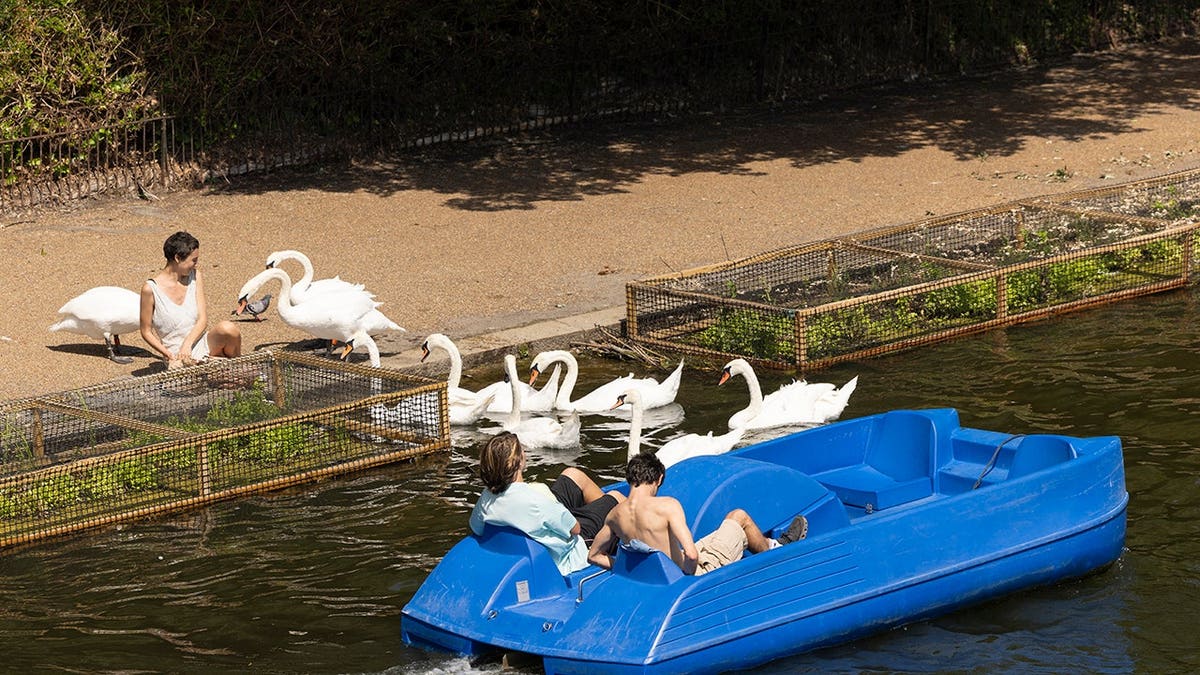 People utilizing a paddle vessel  connected  a water  successful  Hyde Park London