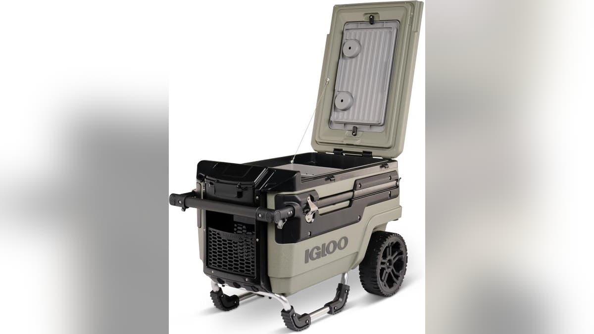 This cooler can handle it all.
