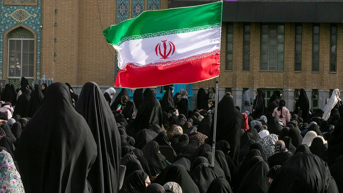 Iranian emblem  successful  Iran