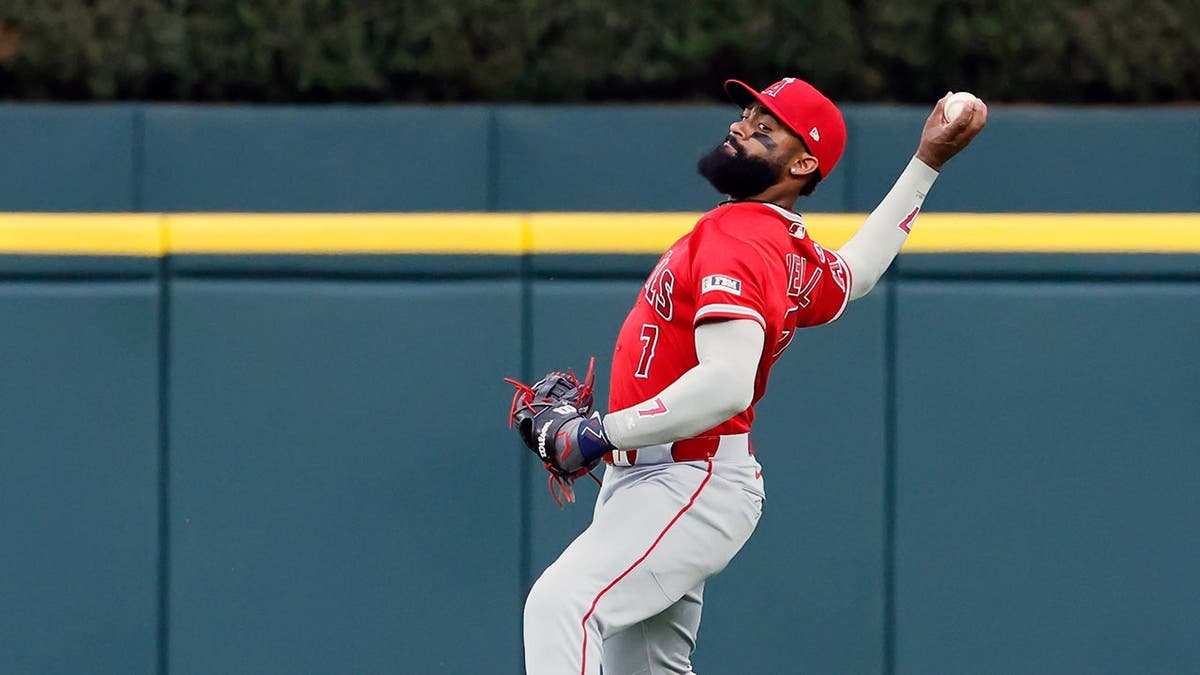 Joe Adell