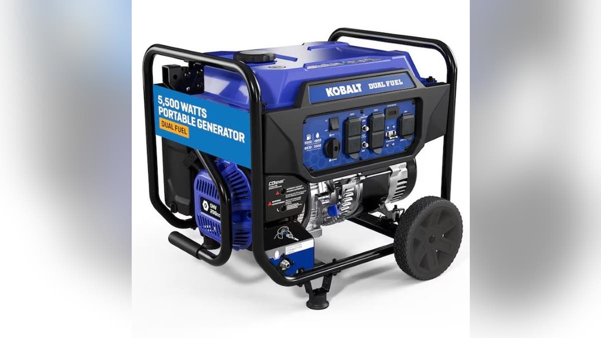 A protective cage and outlet covers help this generator last.