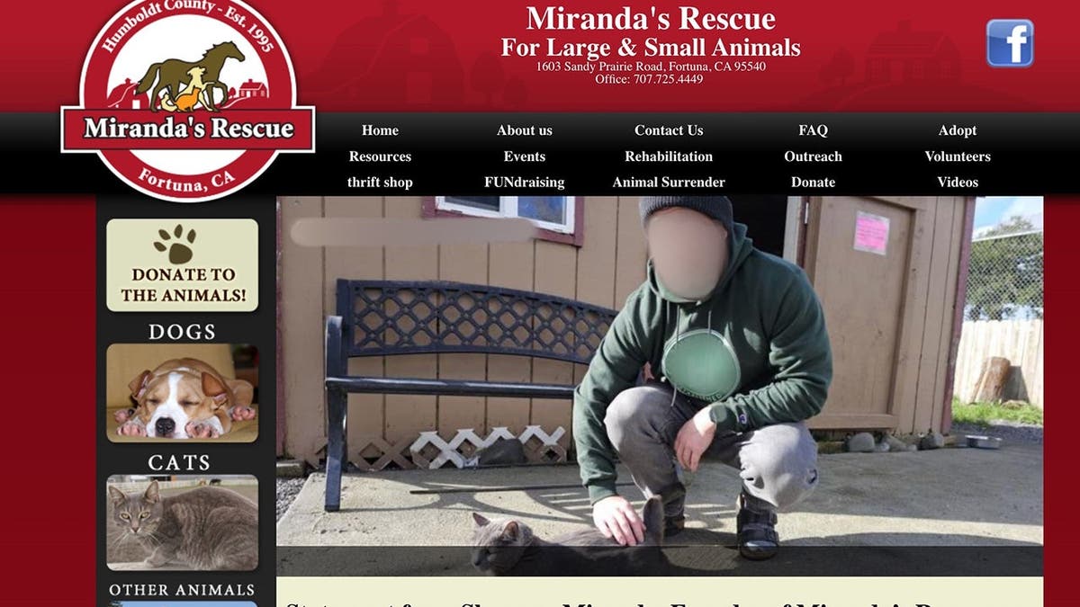 image shows a screenshot taken from the rescue's website