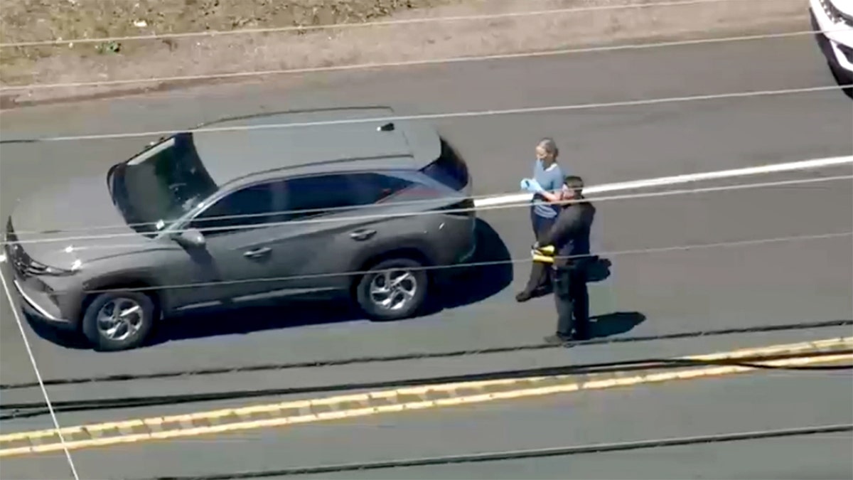 Investigators lasting  adjacent   conveyance  successful  the street