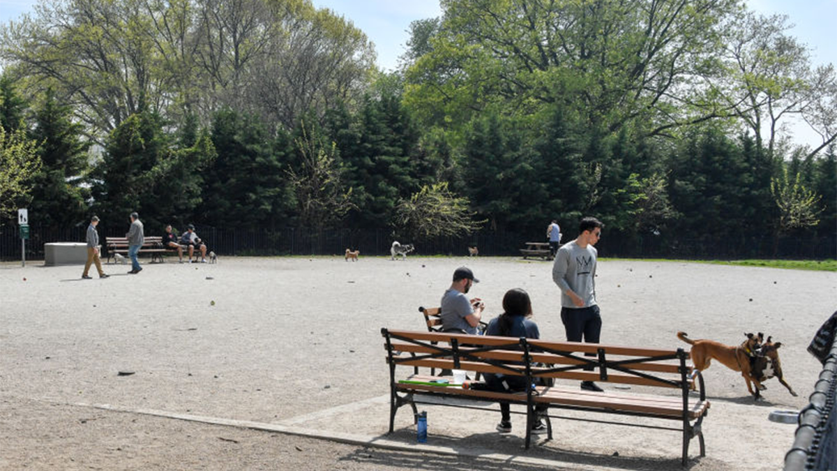 nyc-park.png?ve=1&tl=1