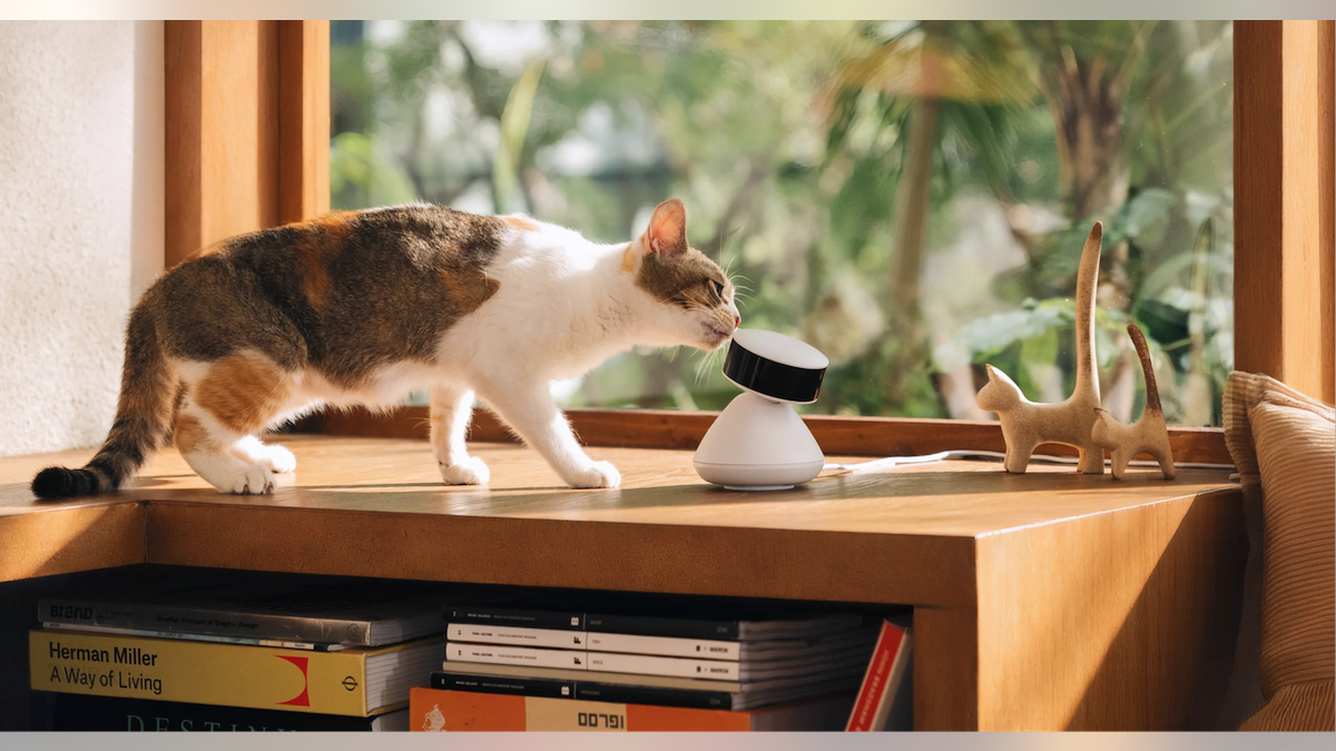 Keep tabs on pets at home.