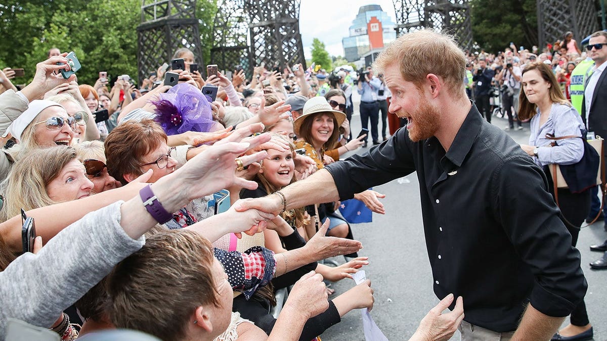 Prince Harry meeting fans during an official walkabout in Rotorua, New Zealand
