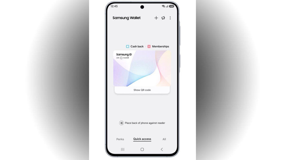 A screen showing Samsung Wallet.