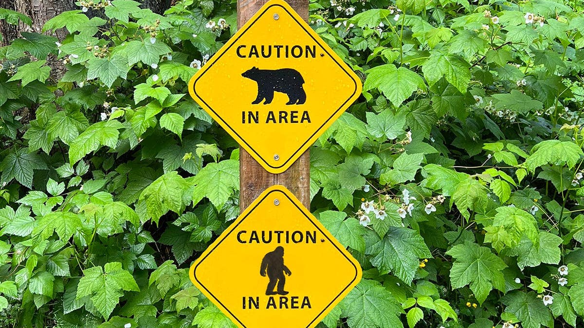 Sasquatch Park sign mounted on wooden posts in an outdoor setting