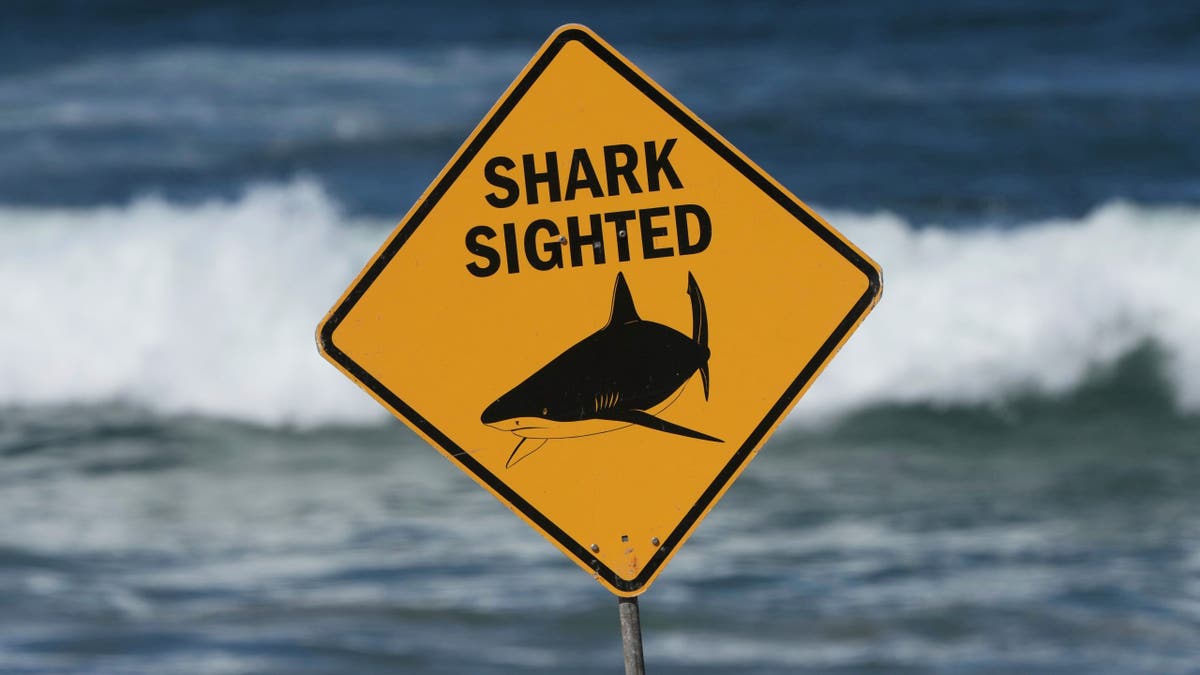 Un segnale di avvertimento per l'attacco di uno squalo alla Dee Why Beach di Sydney