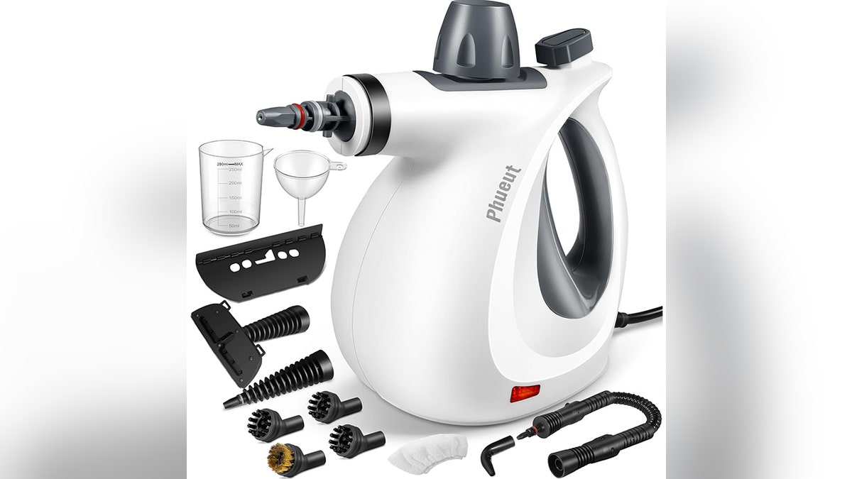 This powerful steam cleaner can help lift dirt and debris from mattresses.