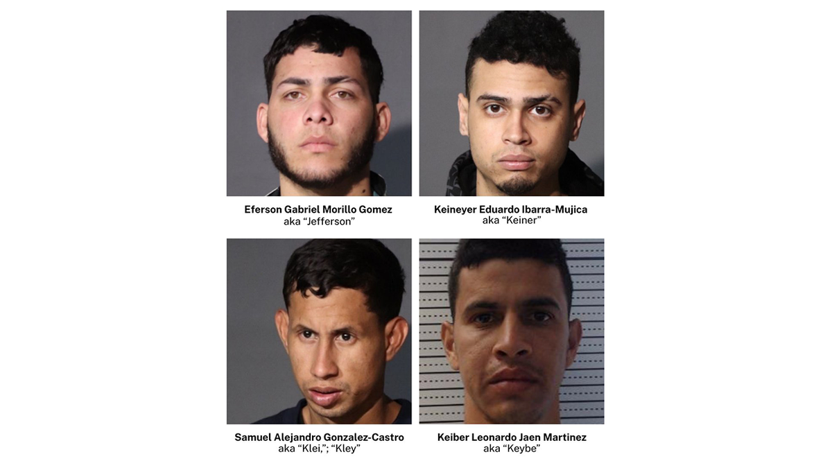 Photos of the alleged TdA gang members
