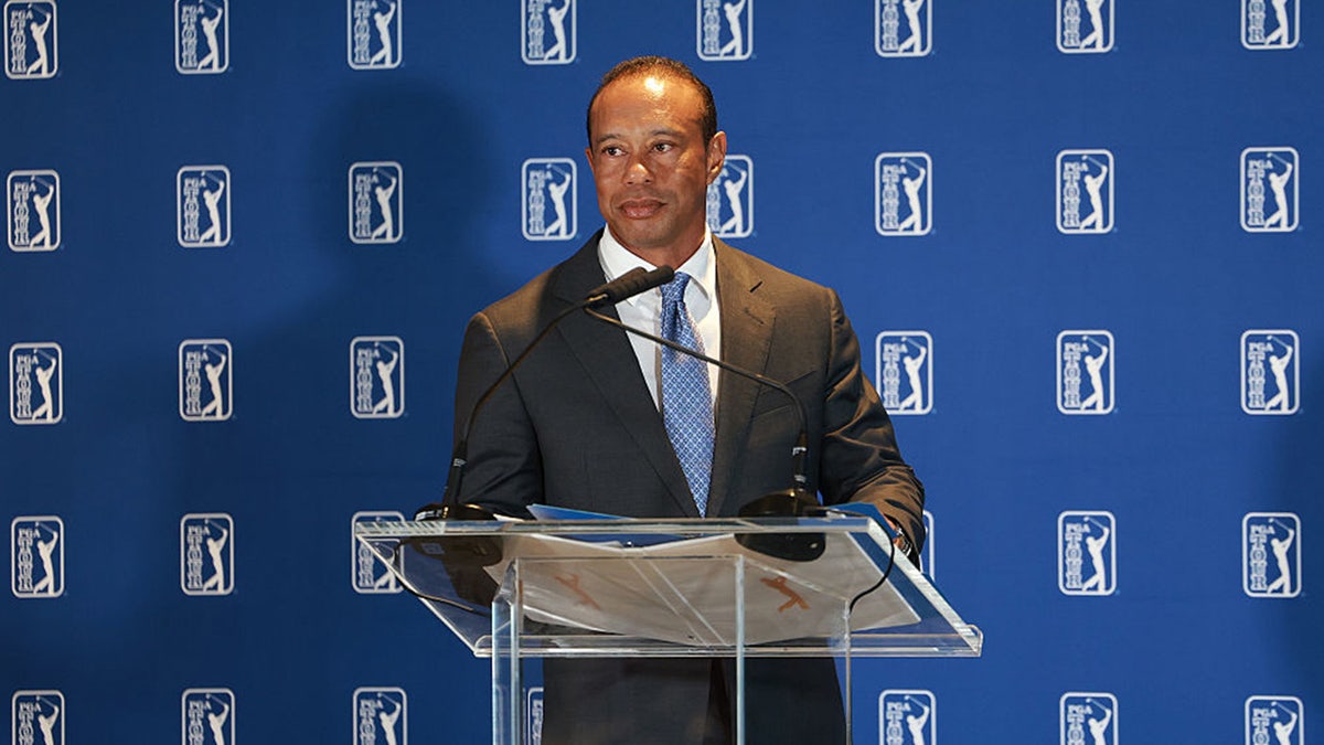 Tiger Woods makes first public appearance since DUI, rehab stint as PGA Tour announces sweeping changes Tiger Woods of the United States is pictured during a PGA Tour Press conference