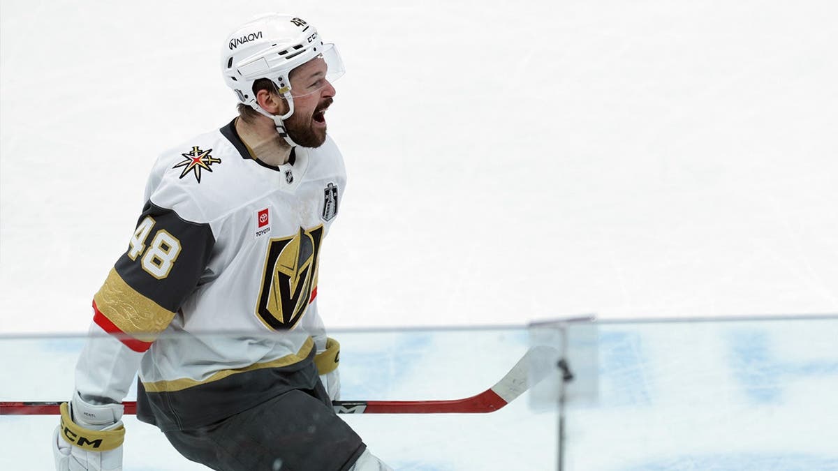 Tomas Hertl