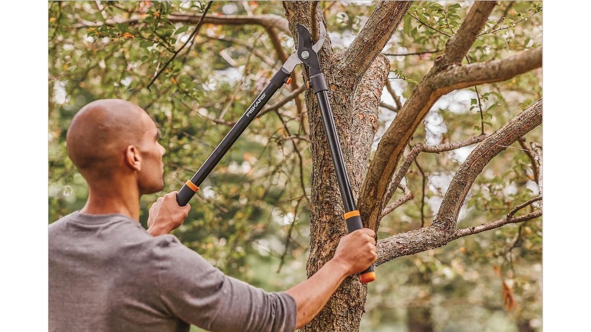 These Fiskars loppers can cut through thick branches.