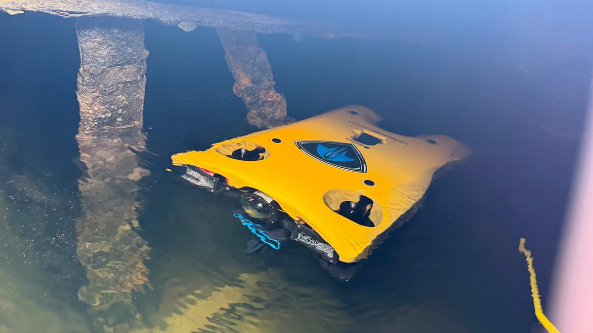 Underwater search for Lynette Hooker in Bahamas