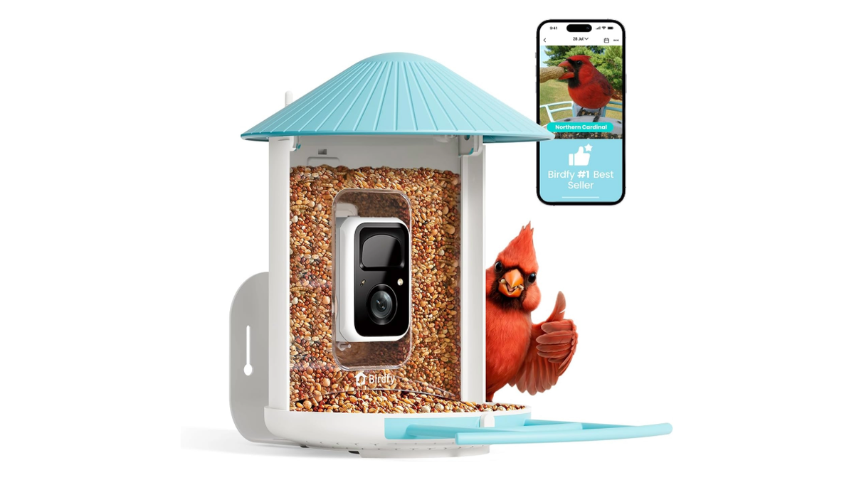 Watch birds from your phone anytime.