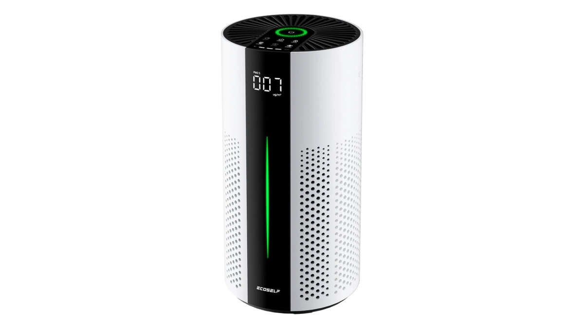 This compact purifier clears the air in larger rooms.