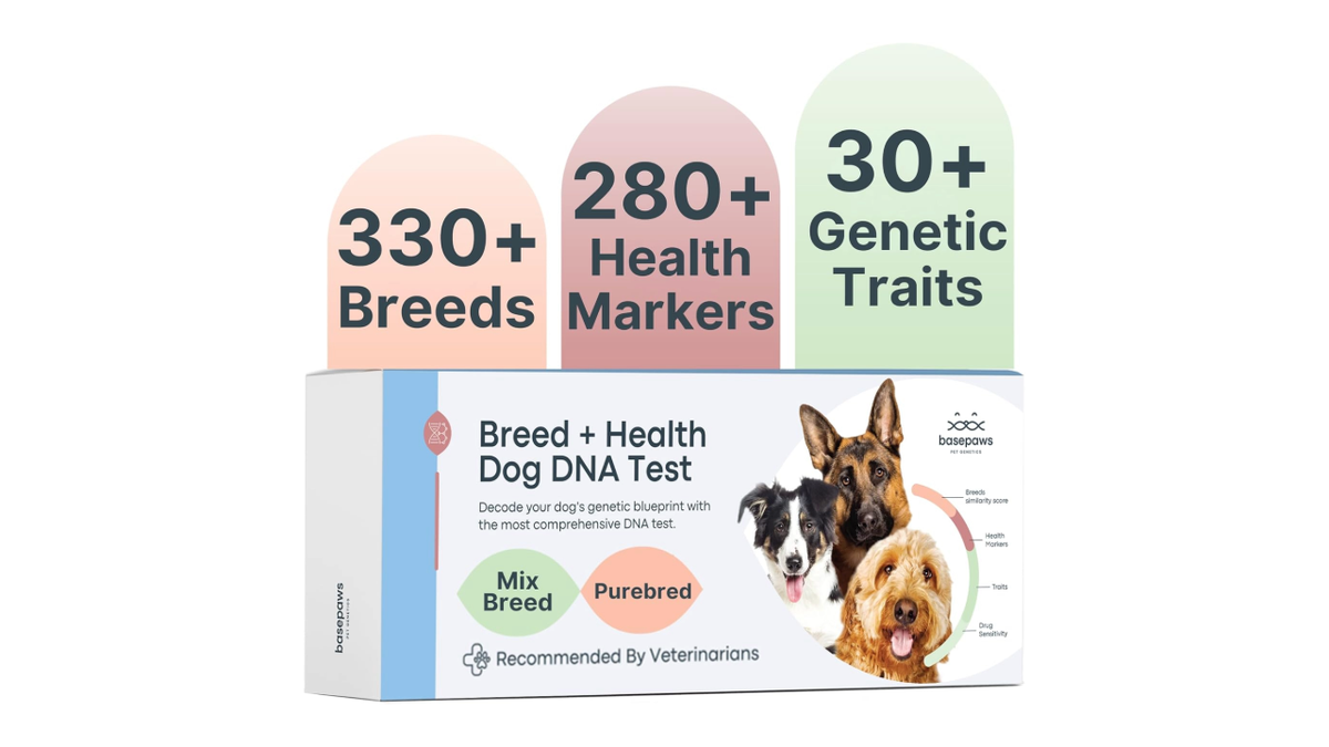 Basepaws tests your dog's DNA against more than 330 breeds.