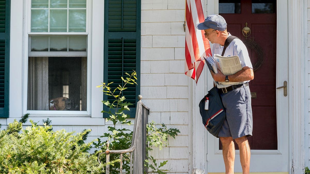 USPS mailman Mike Micali looking at a barking dog in a window