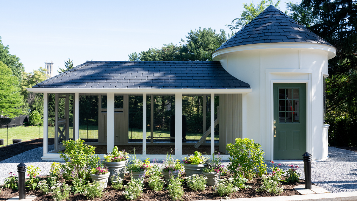 Chicken coop at the Naval Observatory.Â