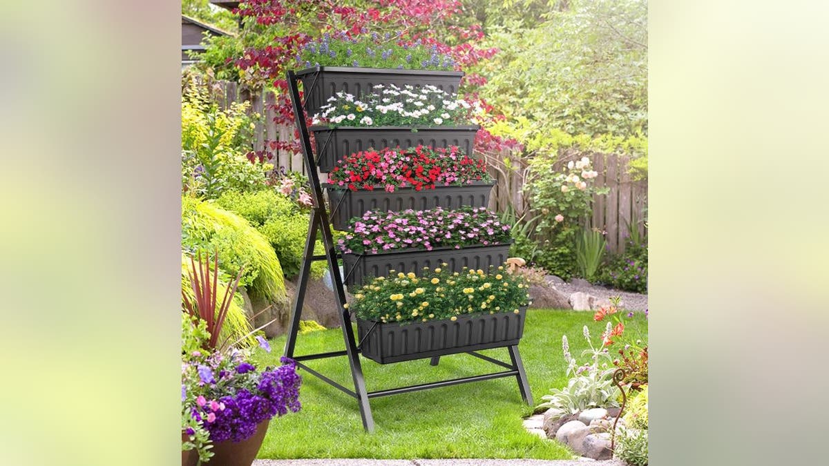 Plant vertically to save space. 