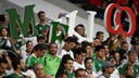 FIFA faces pressure to discipline 2026 World Cup co-host Mexico after anti-gay chant returns vs Czechia