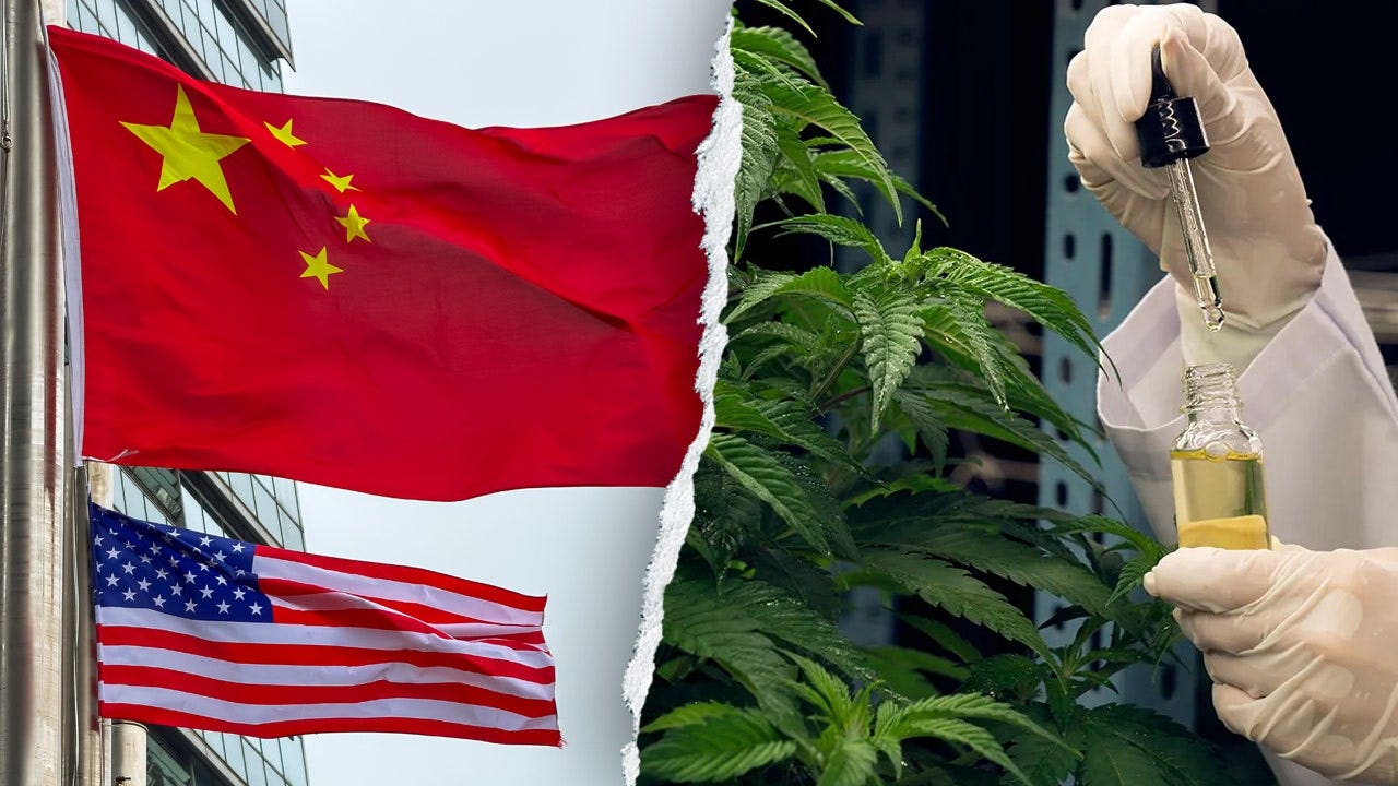 foxnews.com - Greg Norman-Diamond - Former acting DHS secretary warns Chinese criminal organizations are infiltrating America's hemp industry