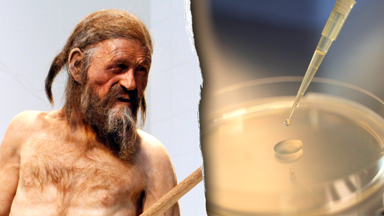 Ötzi the Iceman still harbors living microbes more than 5,300