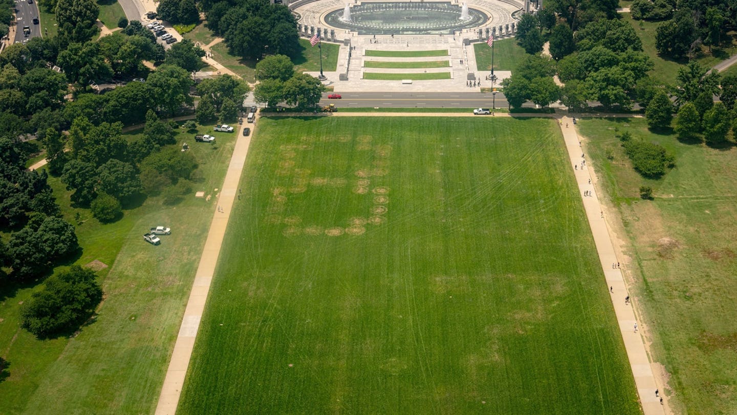 'Deranged message' on National Mall sparks police probe as Trump security fears mount
