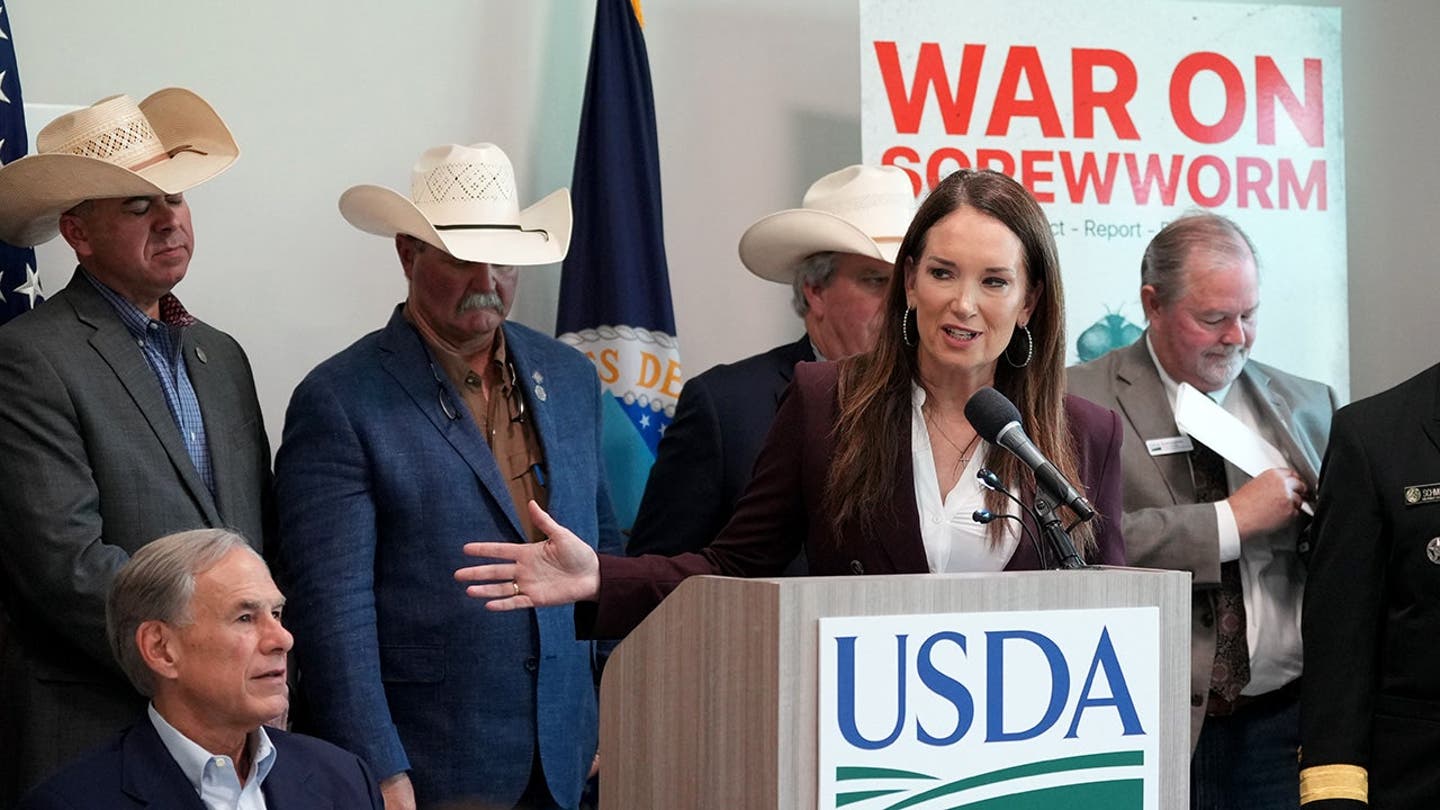 Flesh-eating screwworm found in Texas calf as ranchers brace for possible spread