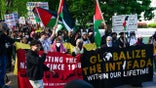 Anti-Israel protesters