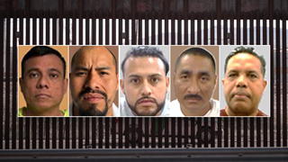 EXCLUSIVE: ICE nabs multiple convicted killers in single day amid nationwide immigration sweep