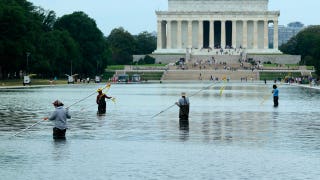CNN, MS NOW do hours of coverage on covering Reflecting Pool drama