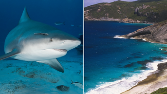 Beachgoers reeling after third deadly shark strike claims fisherman in just weeks - Fox News