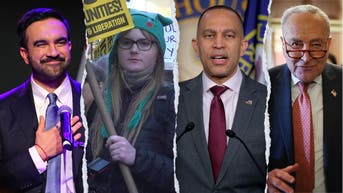 Los demócratas moderados presentan su compromiso con el capitalismo mientras la ola socialista arrasa en las primarias - Fox News