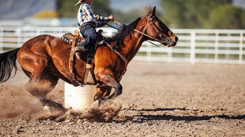 Teen barrel racer accused of stabbing three horses before major event - Fox News