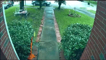 Tesla on autopilot barreled into Texas home killing 76-year-old woman inside - Fox News