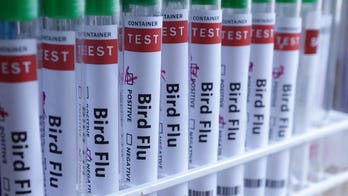 H5N1 bird flu confirmed in Australia for the first time, meaning virus has now reached every continent