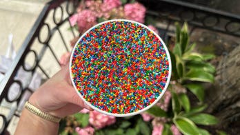 Lines wrap around block as customers wait hours for viral dot cakes that sell out within minutes