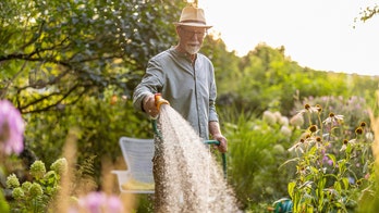 Prep your yard for July 4 guests with these tools, from $20