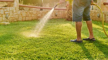 You're not getting away with watering your grass with your 'crank' out on Sheriff Grady Judd's watch