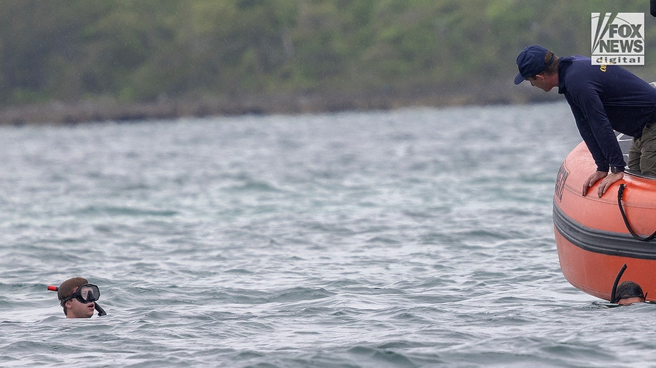 Search for missing woman in the Bahamas, Lynette Hooker