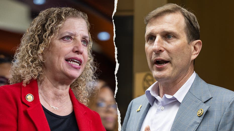 From Wasserman Schultz to Goldman, Democratic incumbents are fighting for survival
