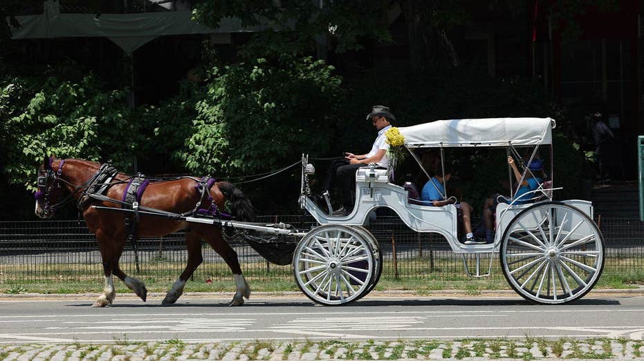 Mamdani, City Council move to end iconic NYC horse-drawn carriage industry as workers face uncertain future