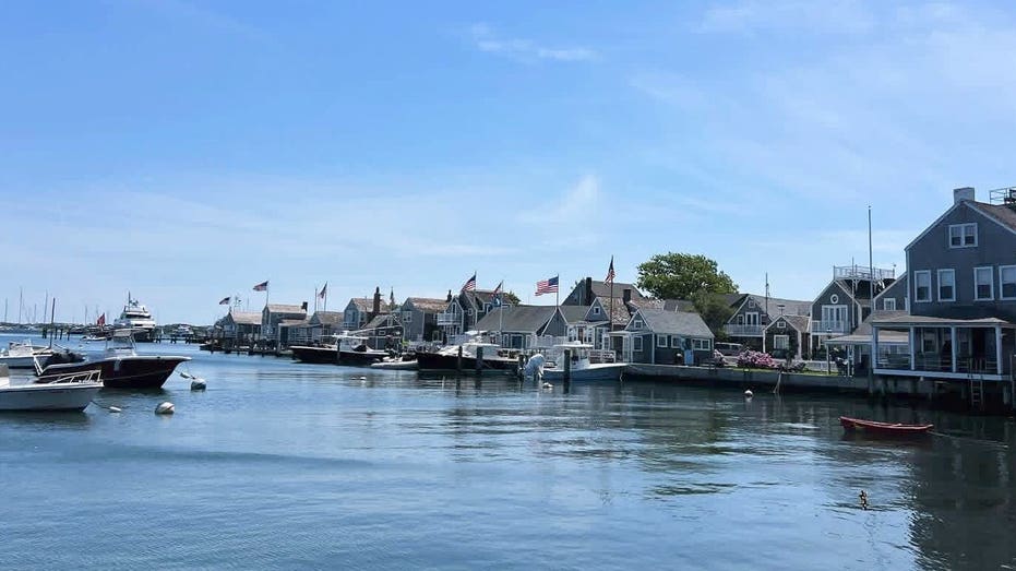 Dems descend on posh island getaway packed with deep-pocketed donors as midterms close in