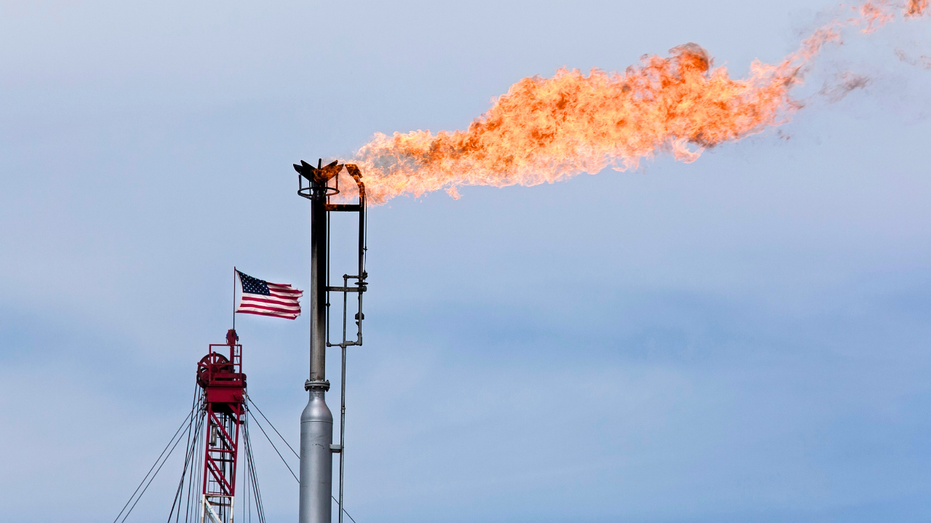 Trump-approved energy projects at risk of sudden death by next hostile president
