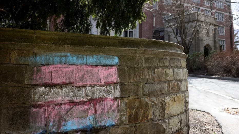 All-women's school Wellesley College responds to accusations of admitting biological male trans students