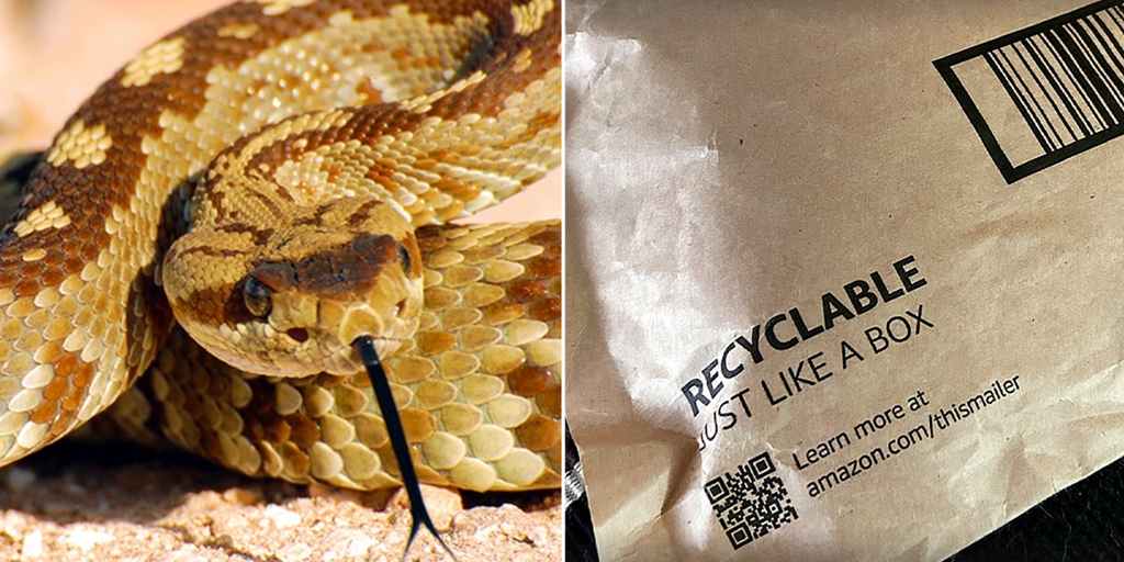 Rattlesnake found hiding under Amazon package bites California