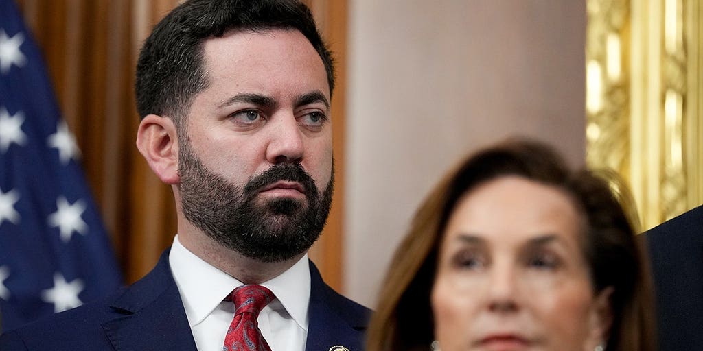 WATCH: Lawler unloads on Raskin after fiery immigration hearing: 'Grow the f--- up'